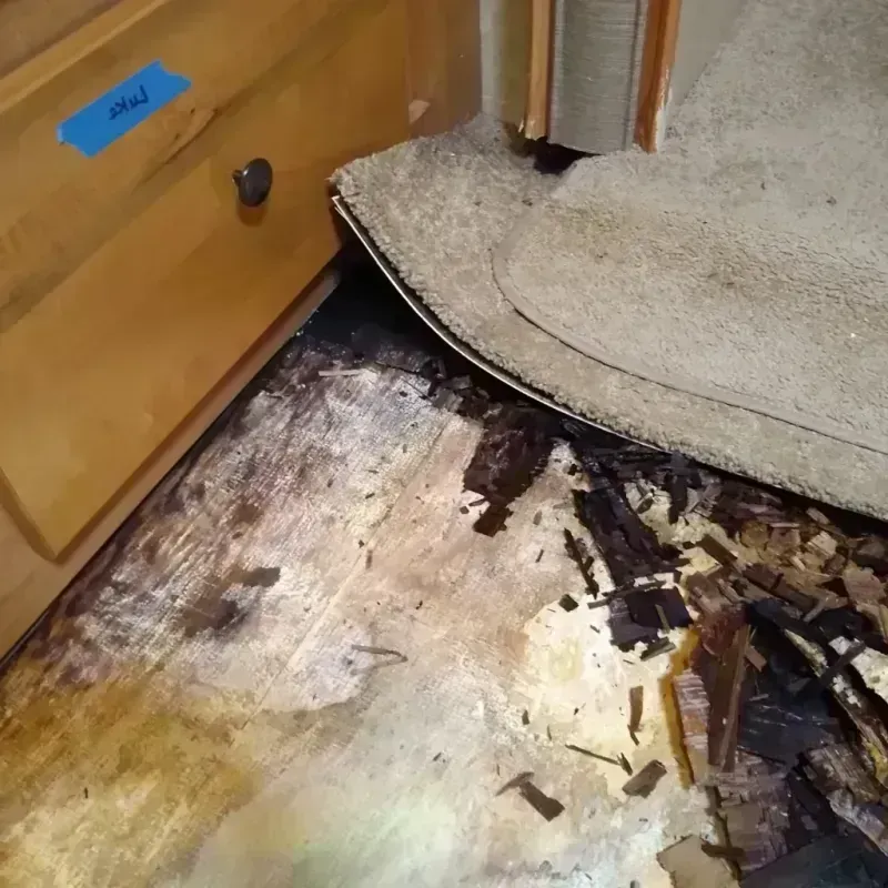 Wood Floor Water Damage in Baden, MD